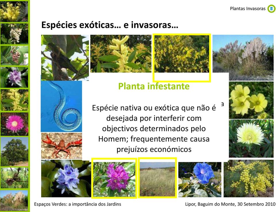 ocupando sua área áreas de distribuição extensas, em natural, habitats naturais objectivos depois ou semi-naturais determinados de ser transportada e