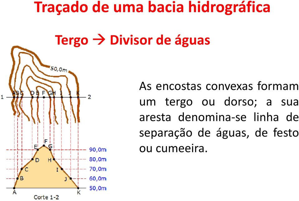 um tergo ou dorso; a sua aresta denomina-se