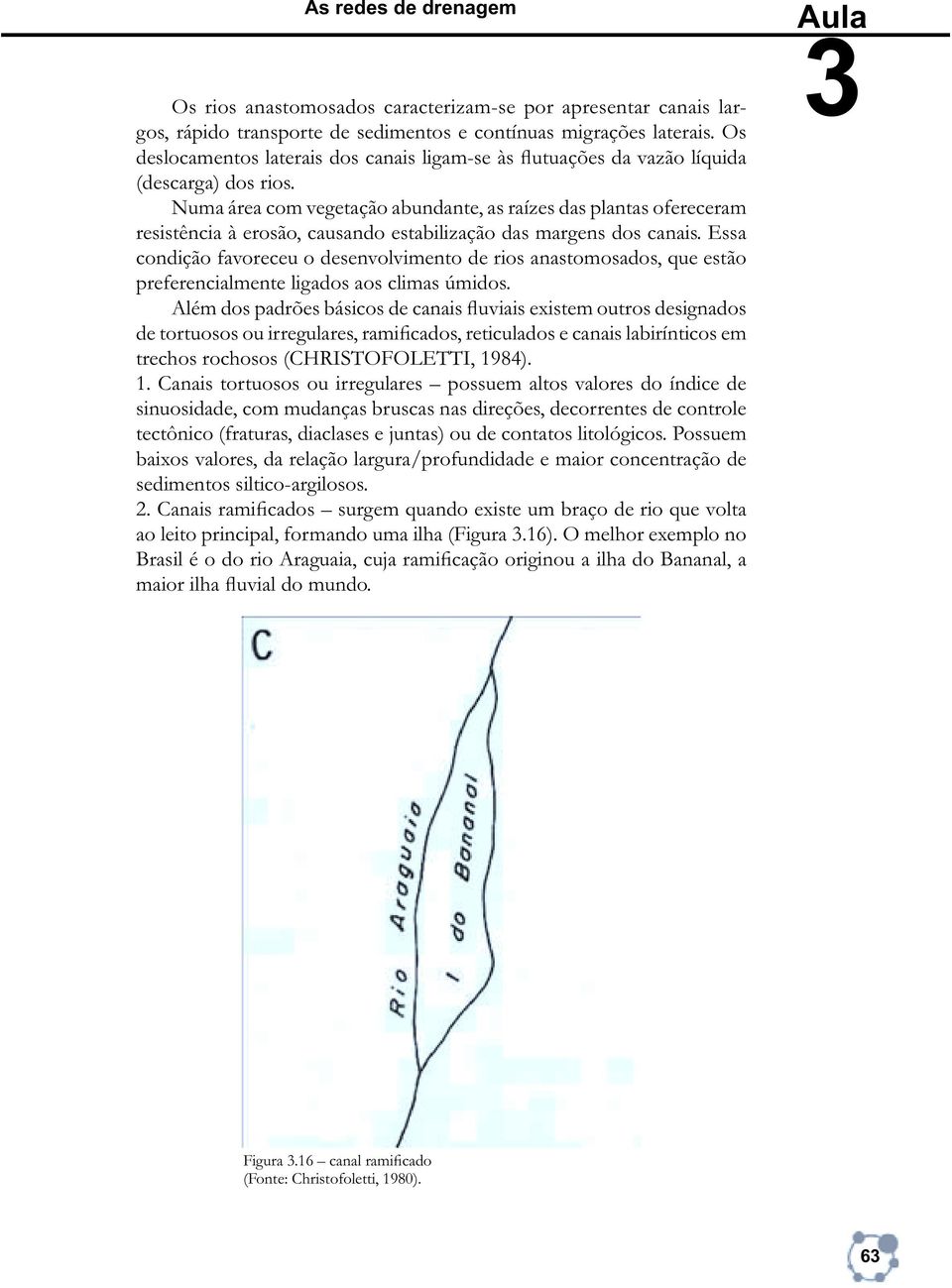 Numa área com vegetação abundante, as raízes das plantas ofereceram resistência à erosão, causando estabilização das margens dos canais.