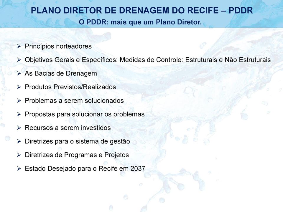 Estruturais As Bacias de Drenagem Produtos Previstos/Realizados Problemas a serem solucionados