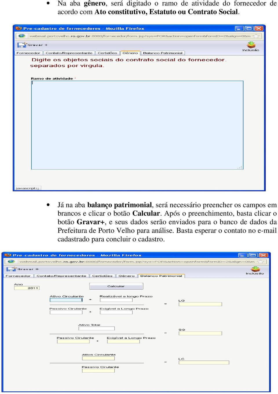 Já na aba balanço patrimonial, será necessário preencher os campos em brancos e clicar o botão Calcular.