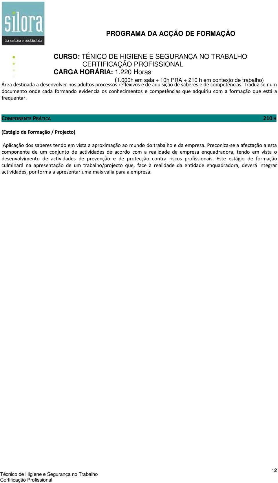 COMPONENTE PRÁTICA 210 H (Estágio de Formação / Projecto) Aplicação dos saberes tendo em vista a aproximação ao mundo do trabalho e da empresa.