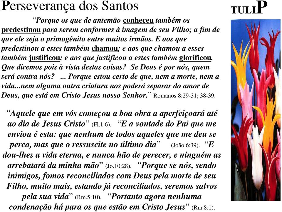 Se Deus é por nós, quem será contra nós?... Porque estou certo de que, nem a morte, nem a vida...nem alguma outra criatura nos poderá separar do amor de Deus, que está em Cristo Jesus nosso Senhor.