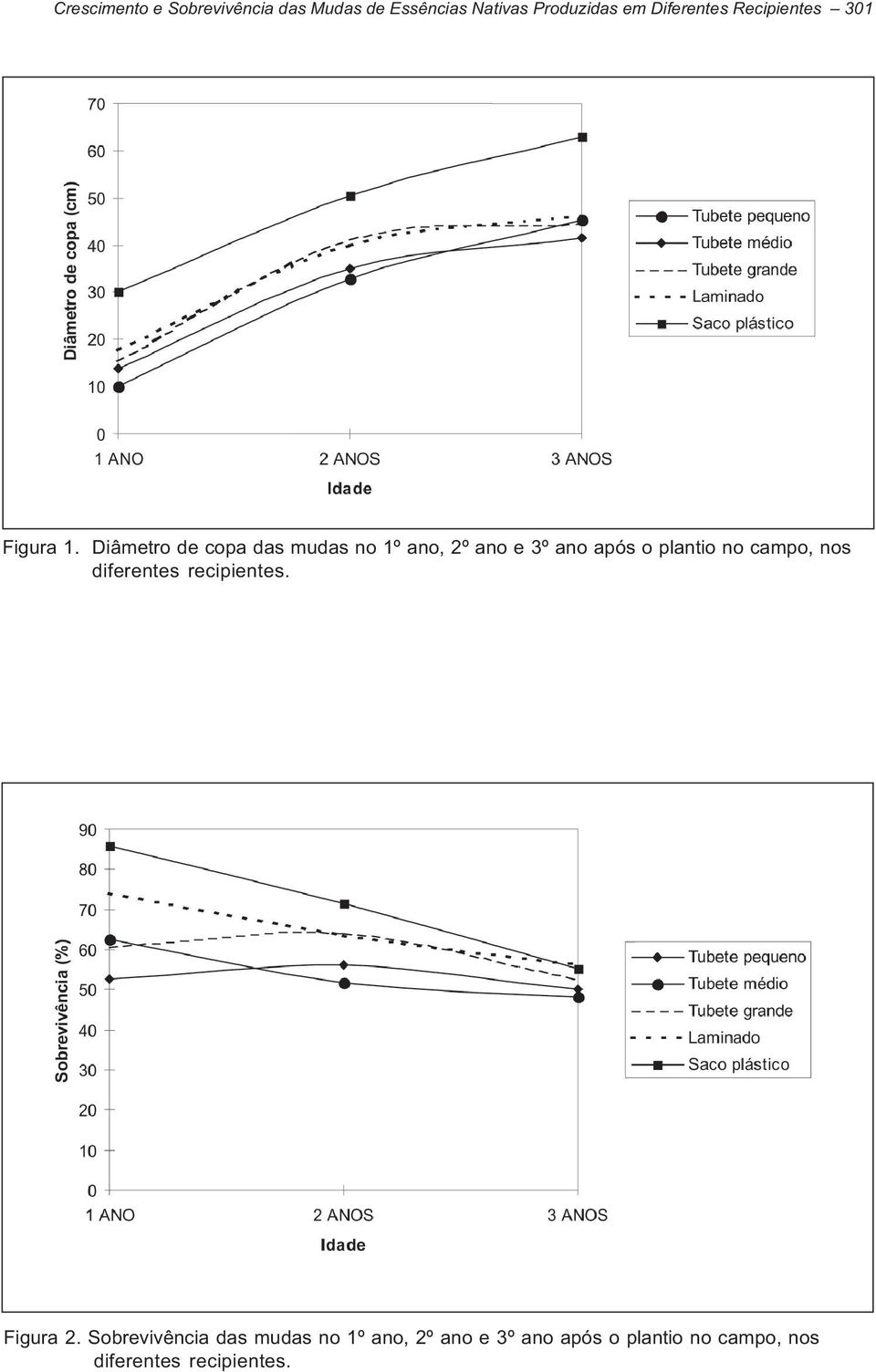 Diâmetro de copa das mudas no 1º ano, 2º ano e 3º ano após o plantio no campo, nos