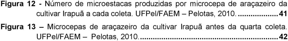 UFPel/FAEM Pelotas, 2010.