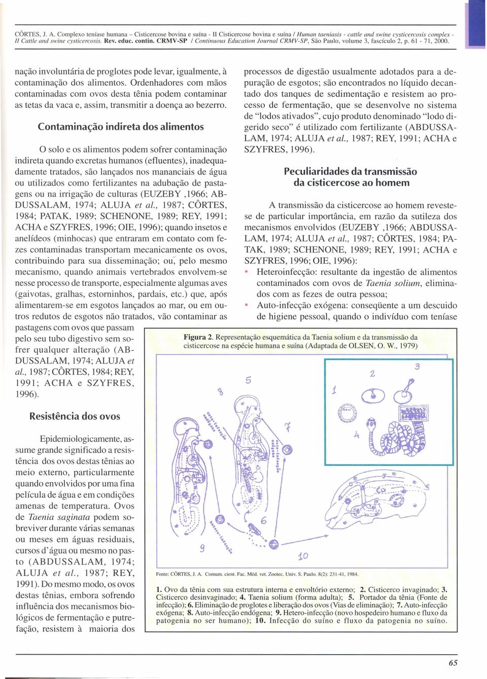 Ordenhadores com mãos contaminadas com ovos desta tênia podem contaminar as tetas da vaca e, assim, transmitir a doença ao bezerro.