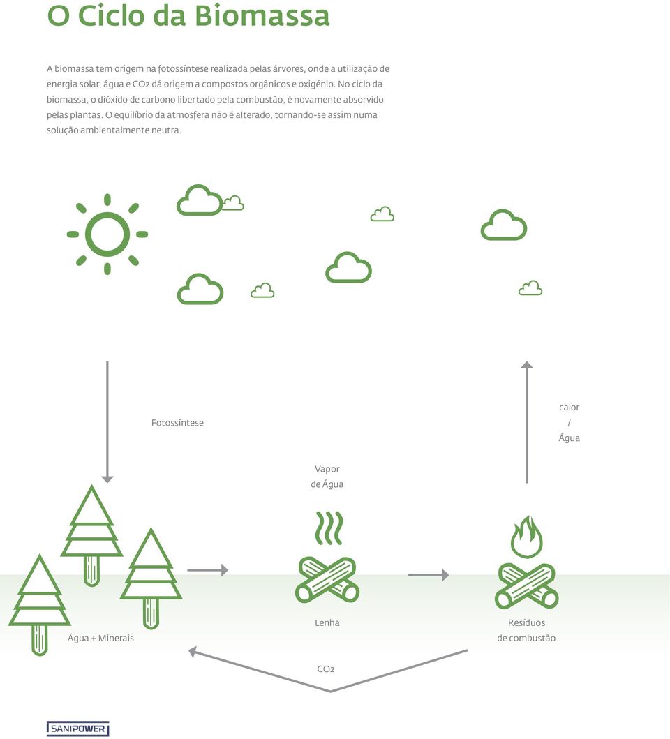 No ciclo da biomassa, o dióxido de carbono libertado pela combustão, é novamente absorvido pelas plantas.