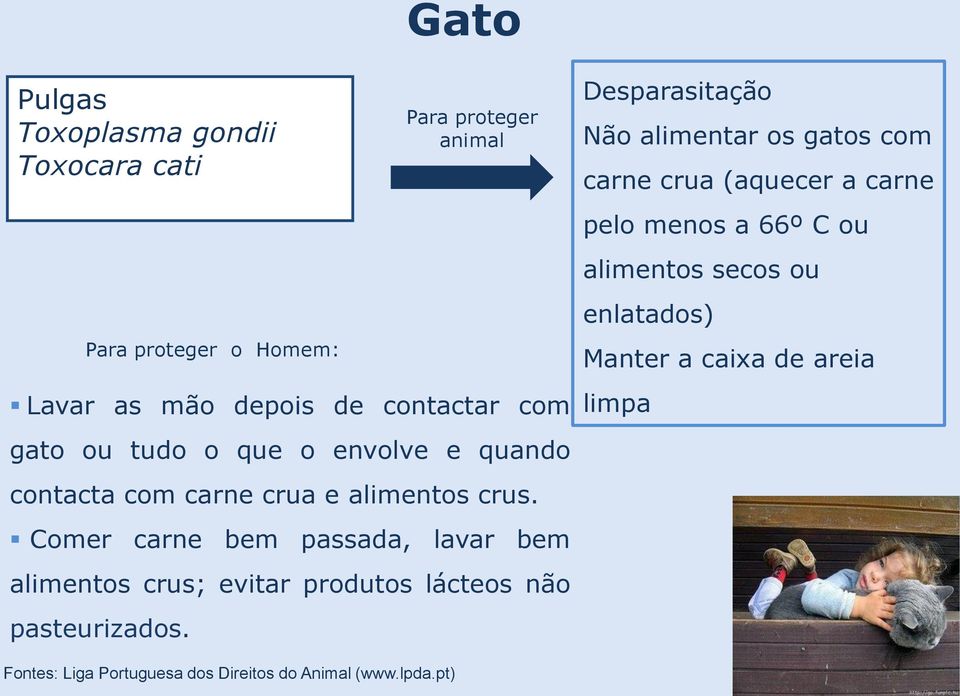 Comer carne bem passada, lavar bem alimentos crus; evitar produtos lácteos não pasteurizados.