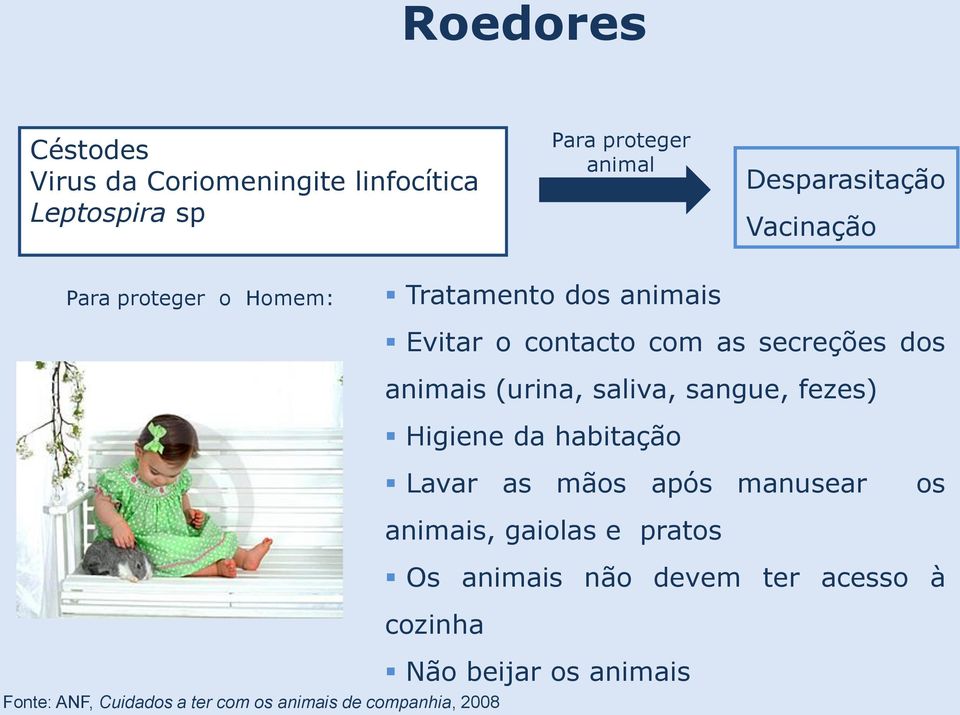 companhia, 2008 Evitar o contacto com as secreções dos animais (urina, saliva, sangue, fezes) Higiene da