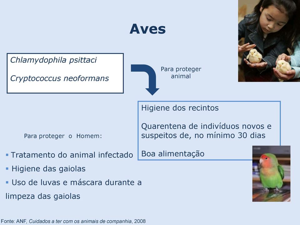 novos e suspeitos de, no mínimo 30 dias Boa alimentação Higiene das gaiolas Uso de luvas e