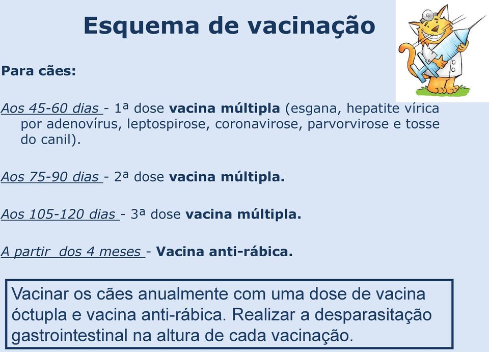 Aos 105-120 dias - 3ª dose vacina múltipla. A partir dos 4 meses - Vacina anti-rábica.