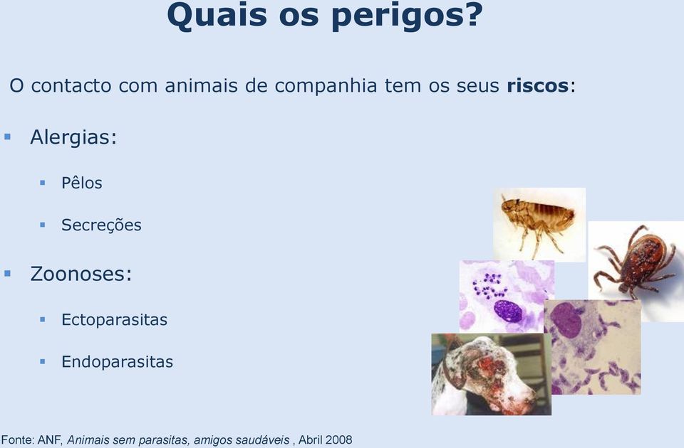 riscos: Alergias: Pêlos Secreções Zoonoses: