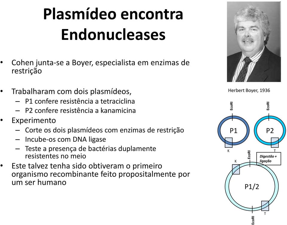 enzimas de restrição Incube-os com DNA ligase Teste a presença de bactérias duplamente resistentes no meio Este talvez tenha sido