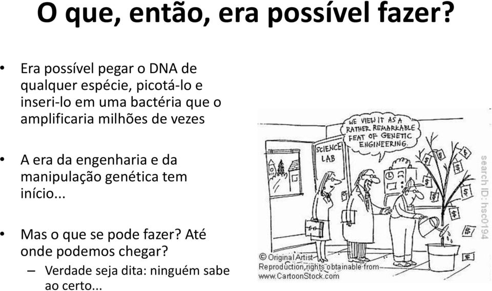 bactéria que o amplificaria milhões de vezes A era da engenharia e da