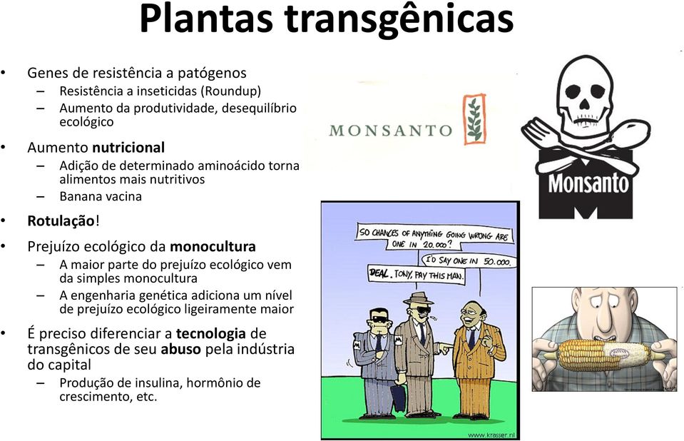 Prejuízo ecológico da monocultura A maior parte do prejuízo ecológico vem da simples monocultura A engenharia genética adiciona um nível de