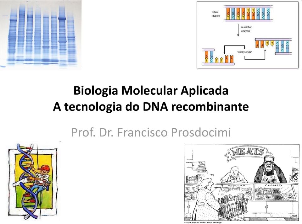 do DNA recombinante