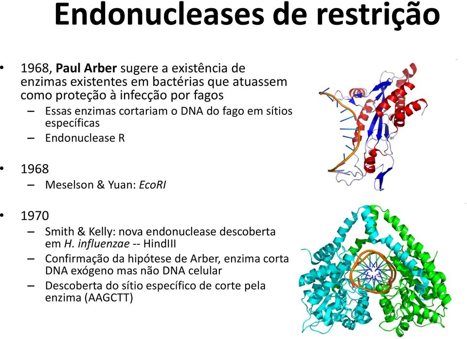 Meselson & Yuan: EcoRI 1970 Smith & Kelly: nova endonuclease descoberta em H.