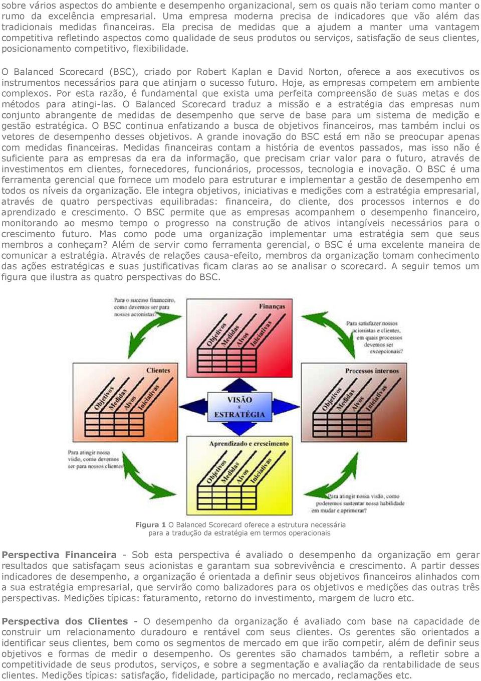 Ela precisa de medidas que a ajudem a manter uma vantagem competitiva refletindo aspectos como qualidade de seus produtos ou serviços, satisfação de seus clientes, posicionamento competitivo,