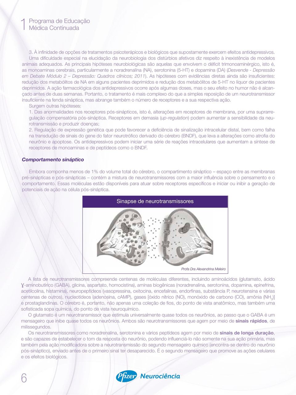 As principais hipóteses neurobiológicas são aquelas que envolvem o déficit trimonoaminérgico, isto é, as monoaminas cerebrais, particularmente a noradrenalina (NA), serotonina (5-HT) e dopamina (DA)