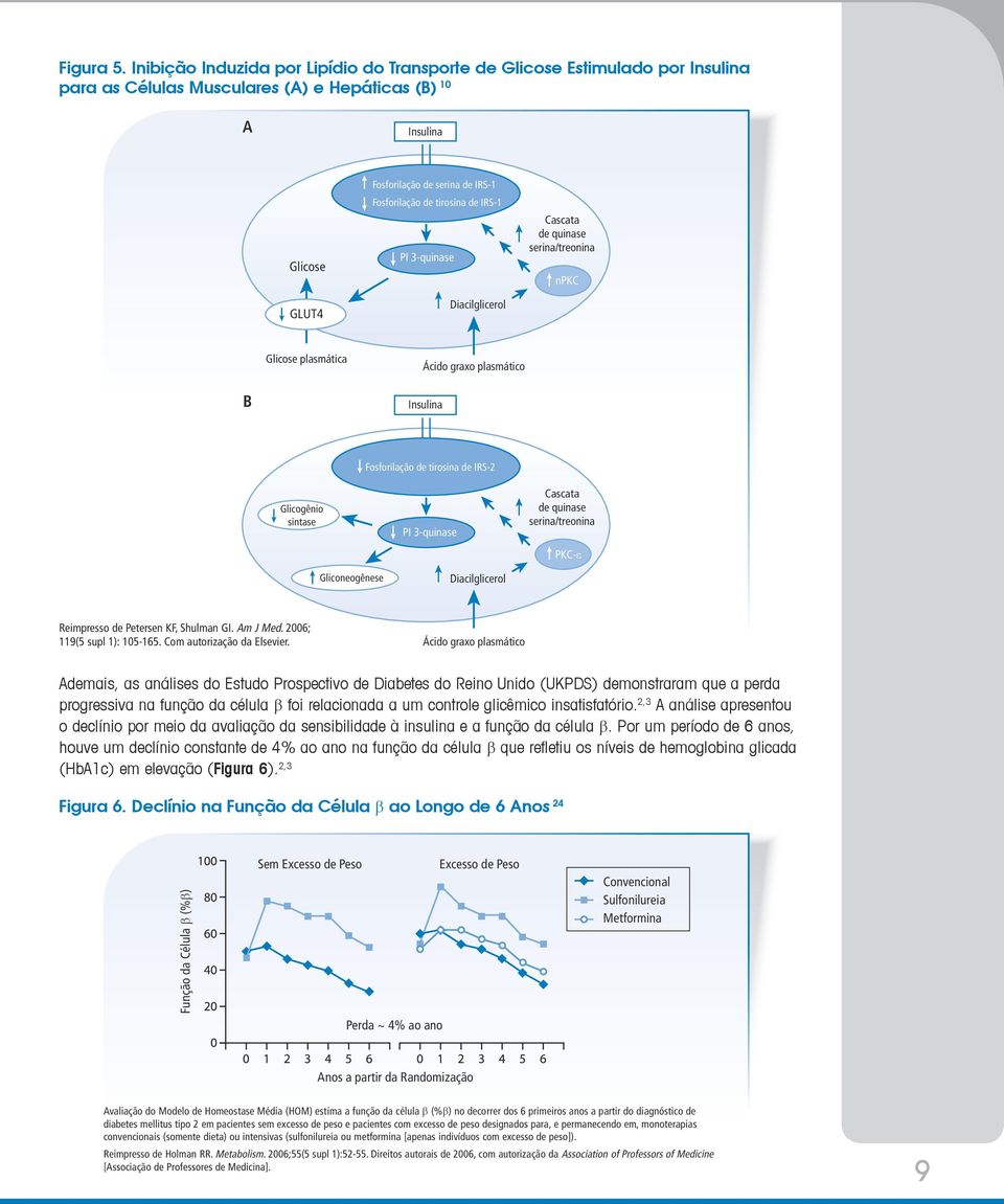 de tirosina de IRS-1 PI 3-quinase Diacilglicerol Cascata de quinase serina/treonina npkc Glicose plasmática Ácido graxo plasmático B Insulina Glicogênio sintase Fosforilação de tirosina de IRS-2 PI