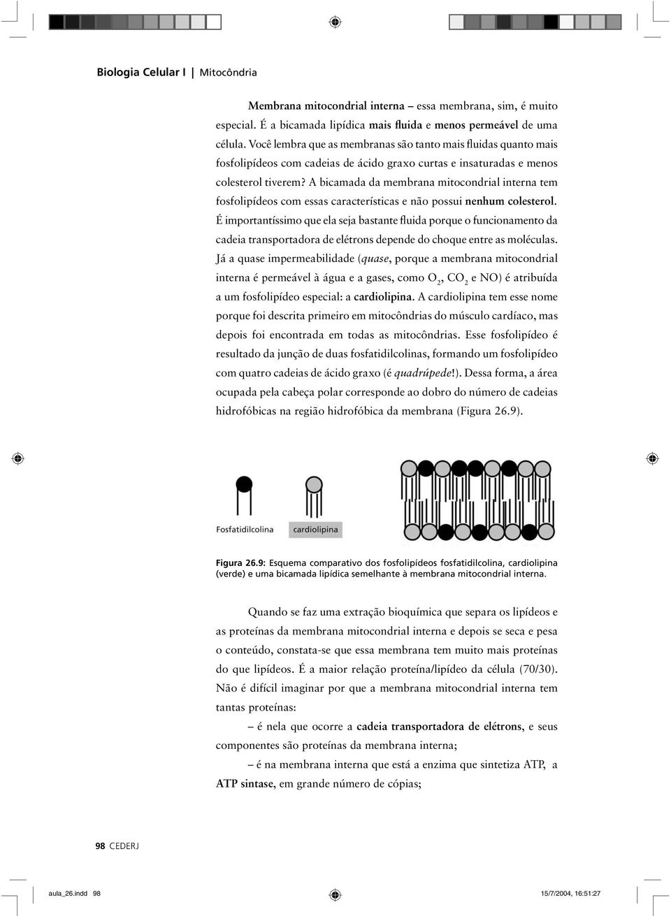 A bicamada da membrana mitocondrial interna tem fosfolipídeos com essas características e não possui nenhum colesterol.