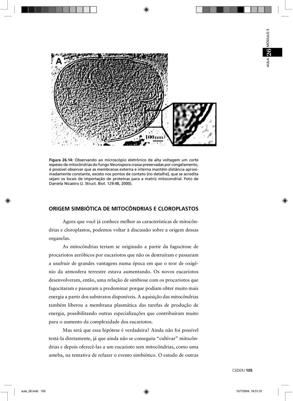 interna mantêm distância aproximadamente constante, exceto nos pontos de contato (no detalhe), que se acredita sejam os locais de importação de proteínas para a matriz mitocondrial.