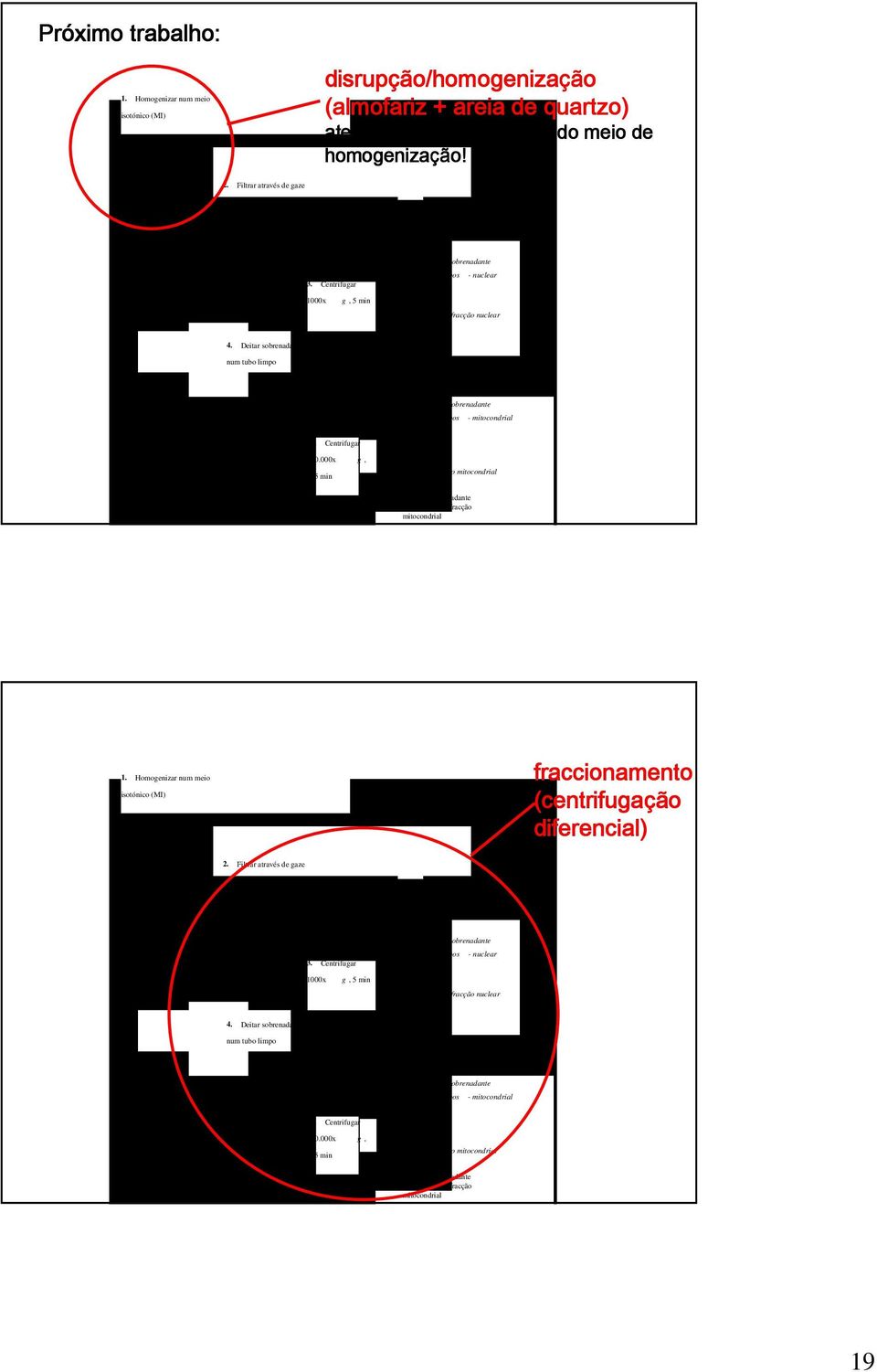 Centrifugar 10.000x g, 5 min fracção mitocondrial 6. decantar sobrenadante e ressuspender fracção mitocondrial 1. Homogenizar num meio isotónico (MI) fraccionamento (centrifugação diferencial) 2.
