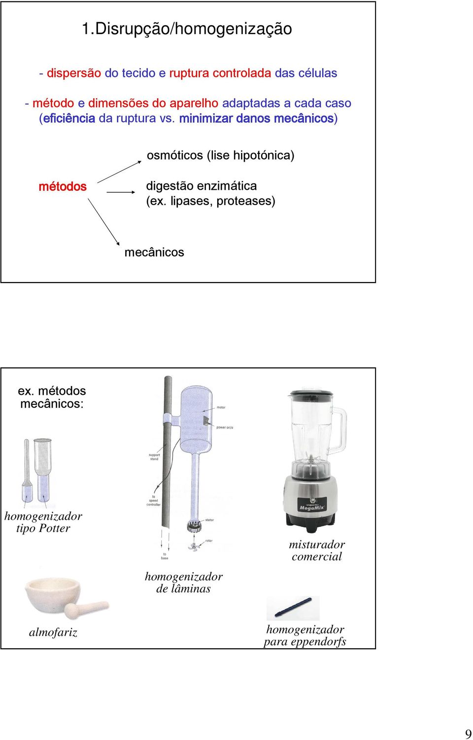 minimizar danos mecânicos) osmóticos (lise hipotónica) métodos digestão enzimática (ex.