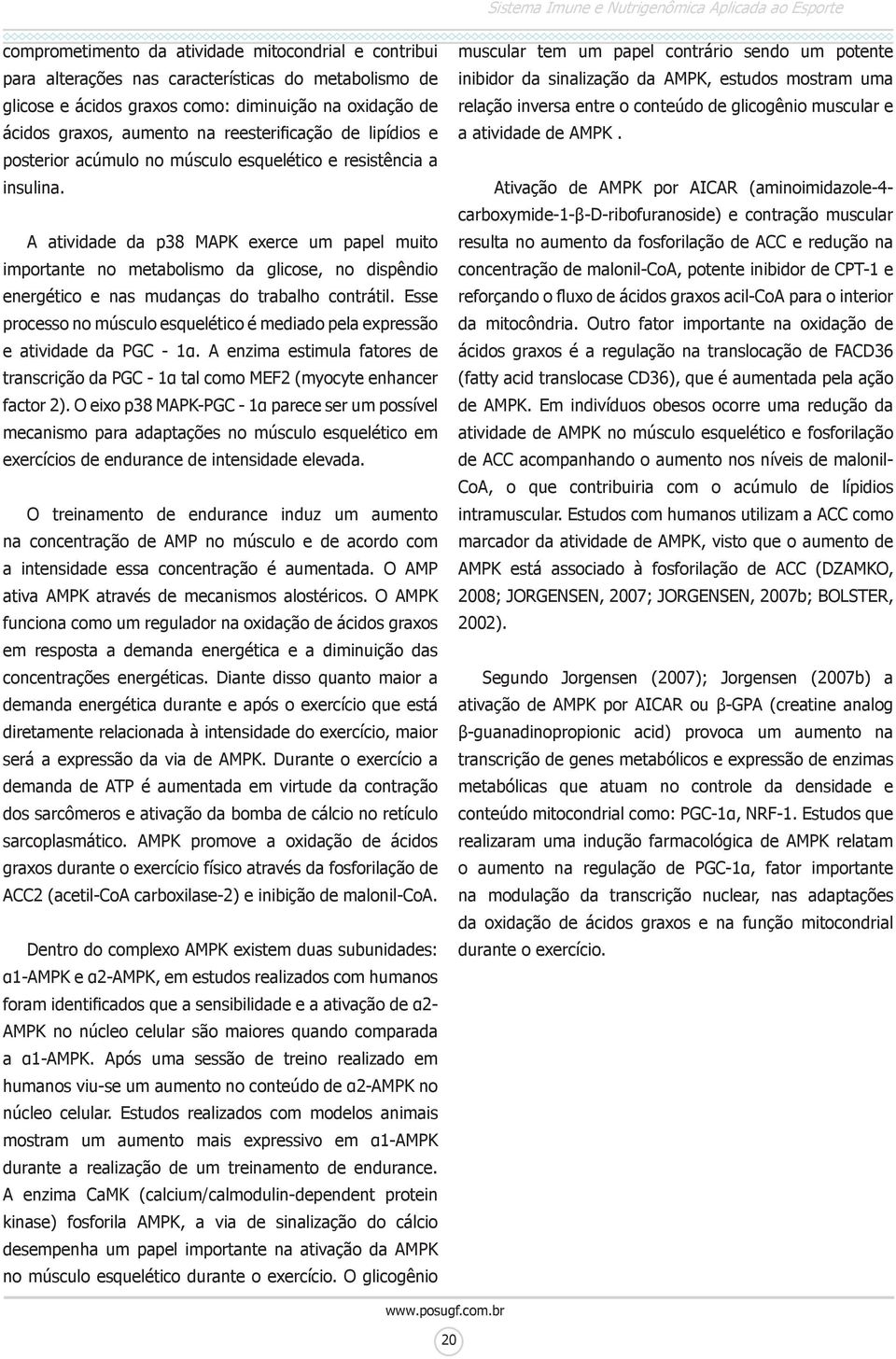 A atividade da p38 MAPK exerce um papel muito importante no metabolismo da glicose, no dispêndio energético e nas mudanças do trabalho contrátil.