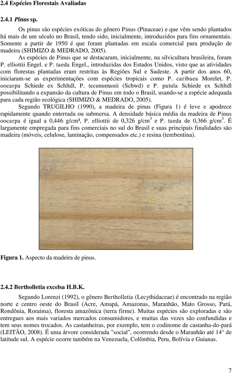 Somente a partir de 1950 é que foram plantadas em escala comercial para produção de madeira (SHIMIZO & MEDRADO, 2005).