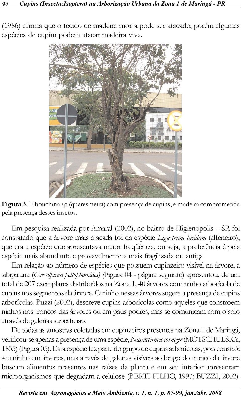 Em pesquisa realizada por Amaral (2002), no bairro de Higienópolis SP, foi constatado que a árvore mais atacada foi da espécie Ligustrum lucidum (alfeneiro), que era a espécie que apresentava maior