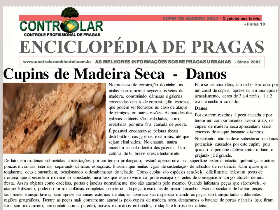 É possível encontrar-se pelotas fecais distribuídos nas galerias e câmaras, até que sejam eliminados. No entanto, nunca encontra-se solo dentro das galerias. Uma colônia de C.