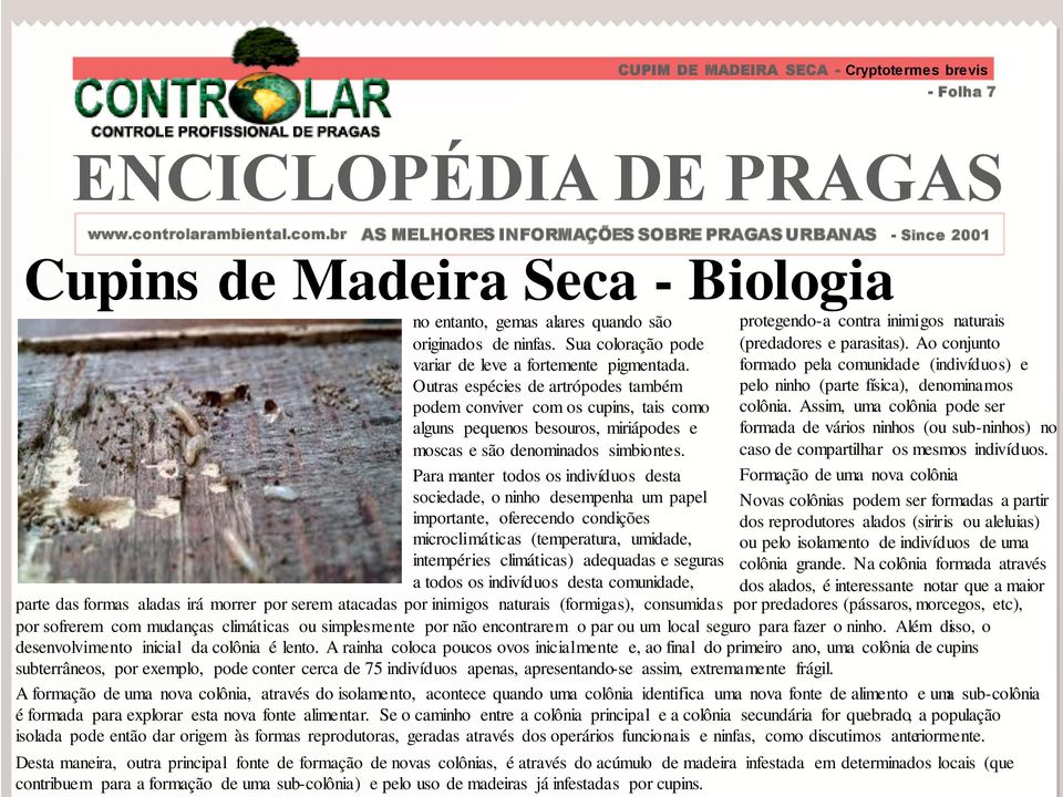 Para manter todos os indivíduos desta sociedade, o ninho desempenha um papel importante, oferecendo condições microclimáticas (temperatura, umidade, intempéries climáticas) adequadas e seguras a