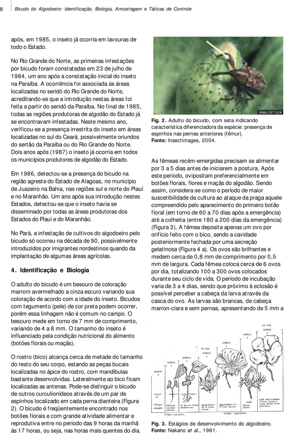 A ocorrência foi associada às áreas localizadas no seridó do Rio Grande do Norte, acreditando-se que a introdução nestas áreas foi feita a partir do seridó da Paraíba.