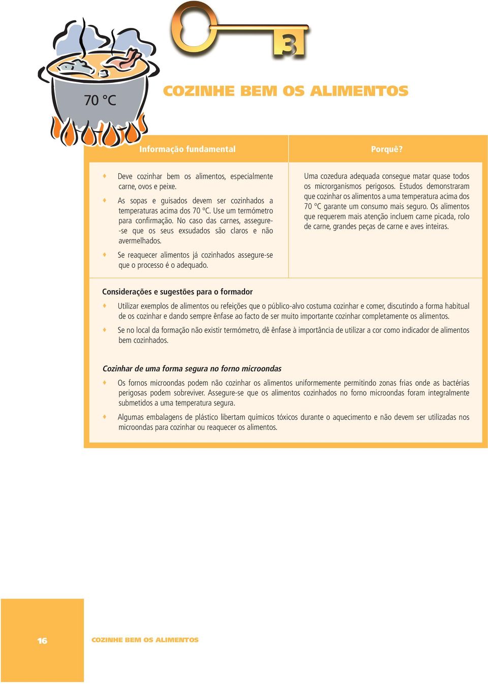 Se reaquecer alimentos já cozinhados assegure-se que o processo é o adequado. Uma cozedura adequada consegue matar quase todos os microrganismos perigosos.