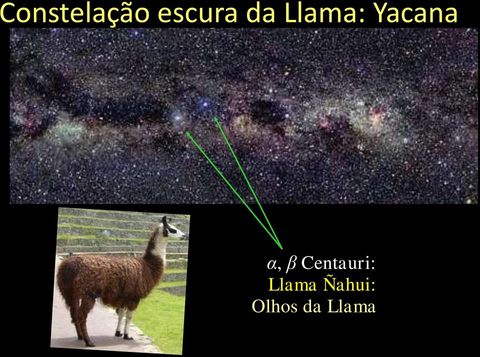 β Centauri: Llama