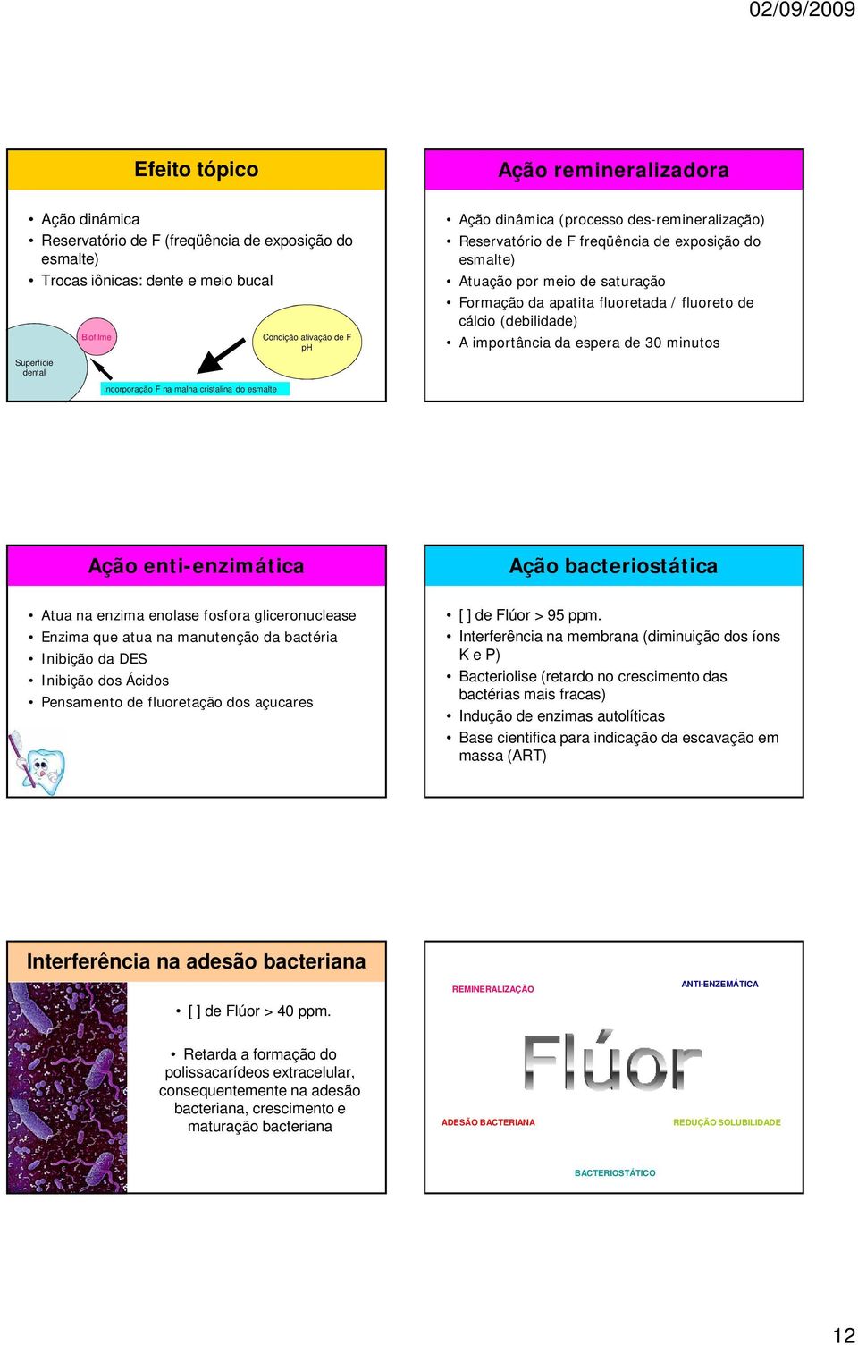 fluoretada / fluoreto de cálcio (debilidade) A importância da espera de 30 minutos Ação enti-enzimática Ação bacteriostática Atua na enzima enolase fosfora gliceronuclease Enzima que atua na