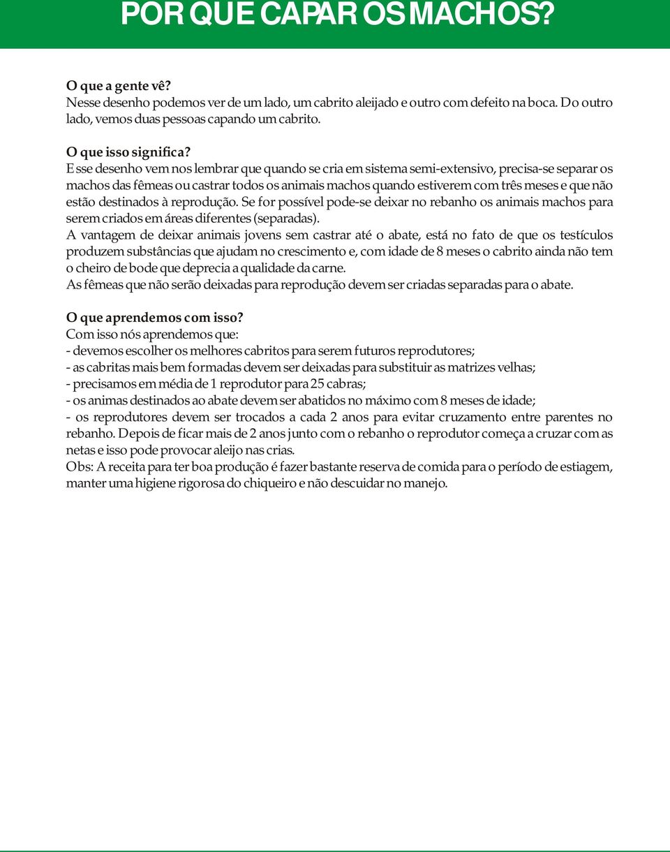 Esse desenho vem nos lembrar que quando se cria em sistema semi-extensivo, precisa-se separar os machos das fêmeas ou castrar todos os animais machos quando estiverem com três meses e que não estão