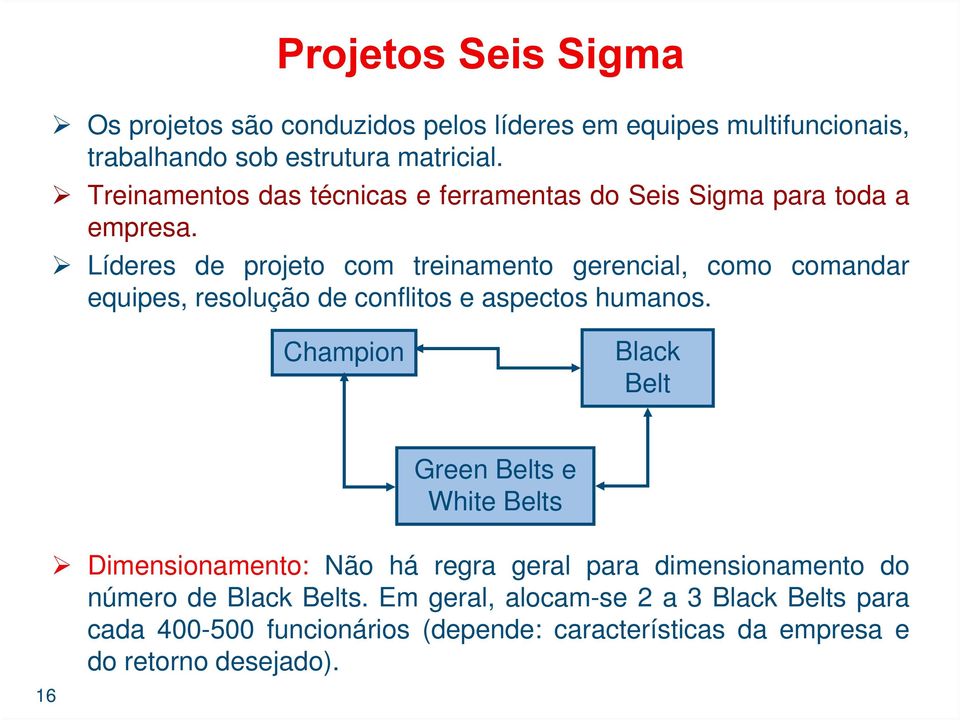 Líderes de projeto com treinamento gerencial, como comandar equipes, resolução de conflitos e aspectos humanos.