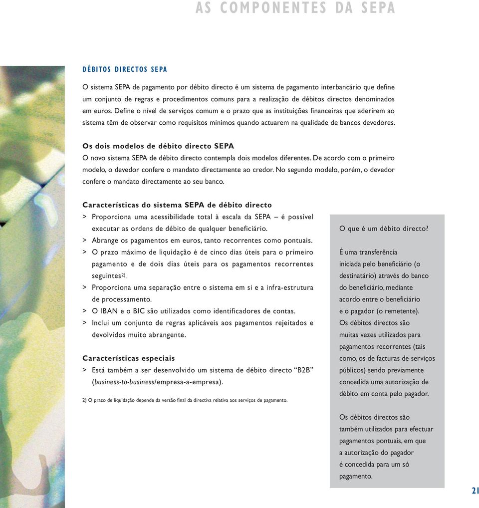 Define o nível de serviços comum e o prazo que as instituições financeiras que aderirem ao sistema têm de observar como requisitos mínimos quando actuarem na qualidade de bancos devedores.