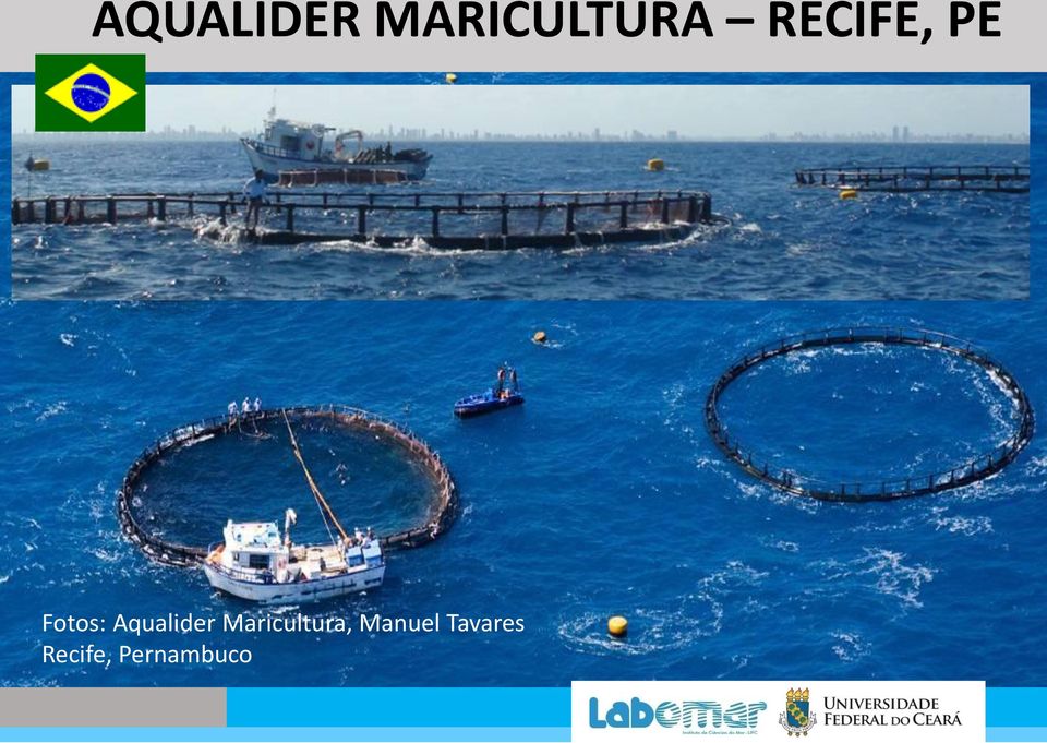 Aqualider Maricultura,