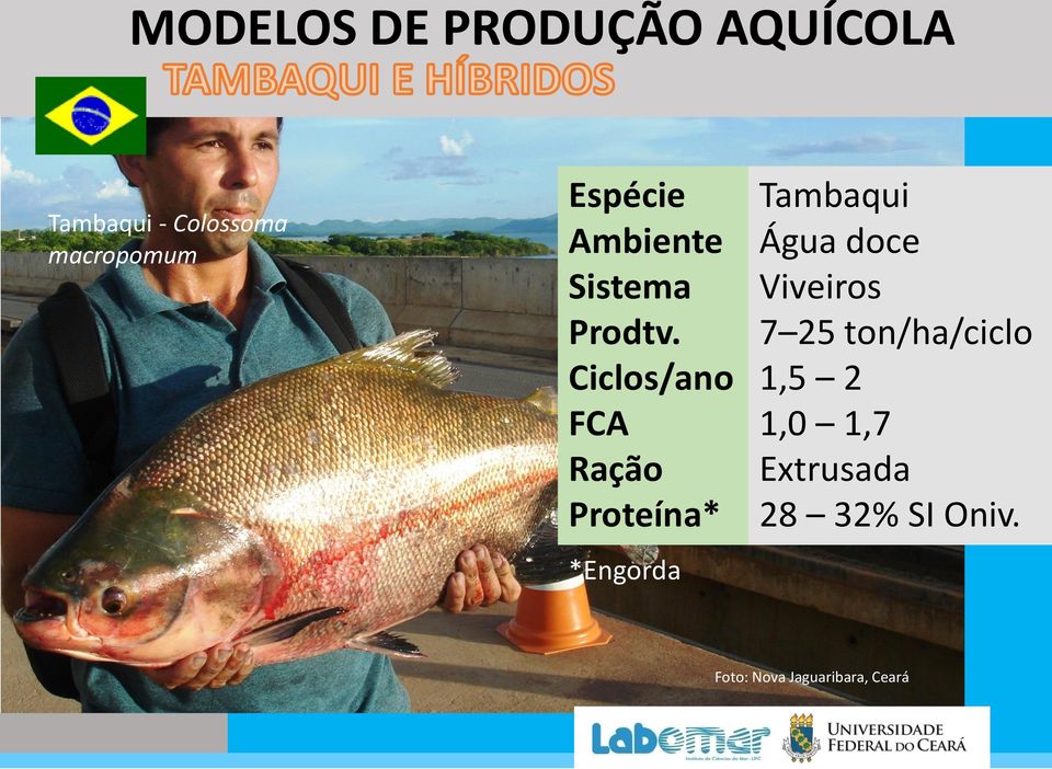 Ciclos/ano FCA Ração Proteína* *Engorda Tambaqui Água doce