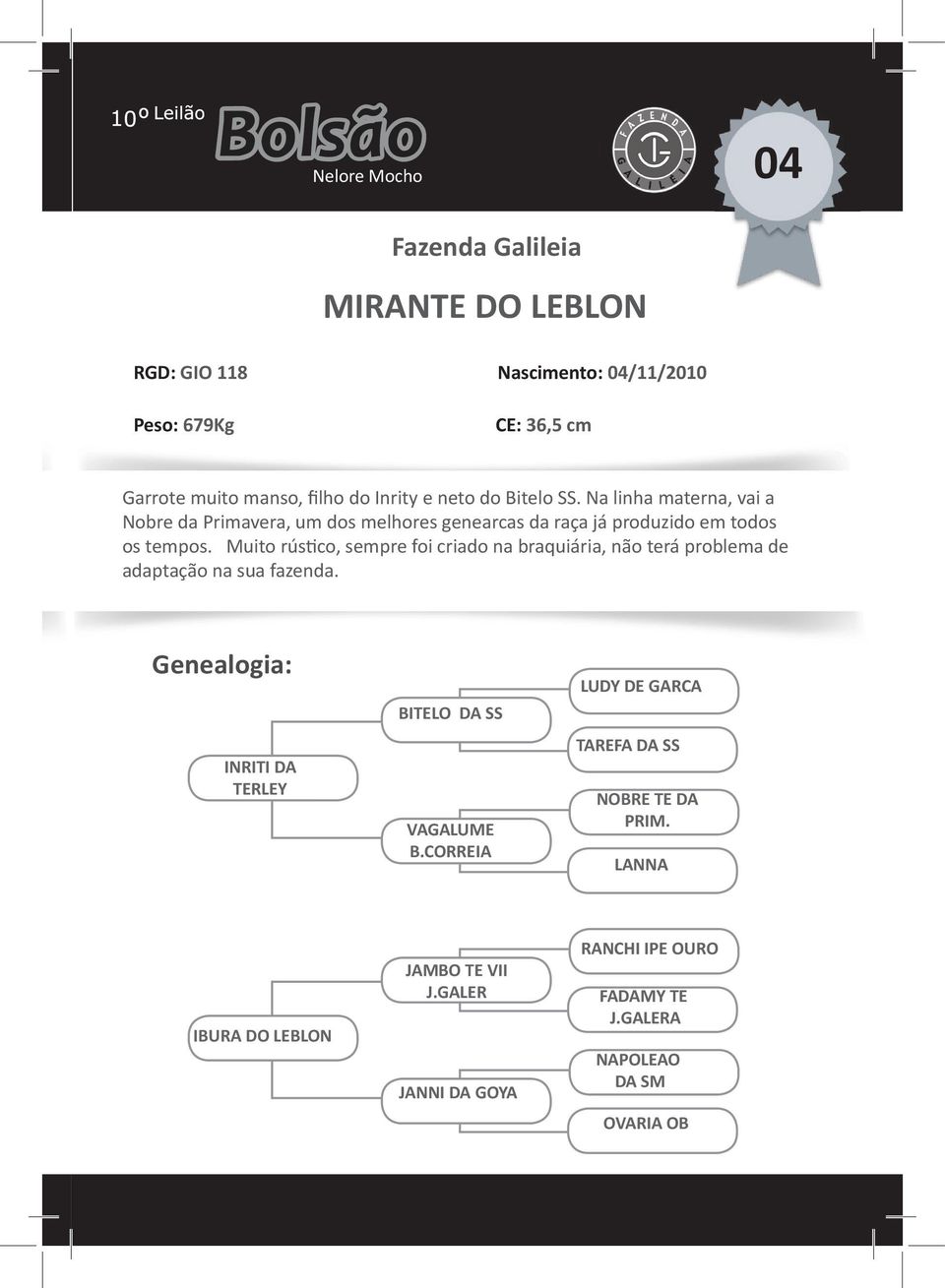 Muito rústico, sempre foi criado na braquiária, não terá problema de adaptação na sua fazenda. INRITI DA TERLEY BITELO DA SS VAGALUME B.