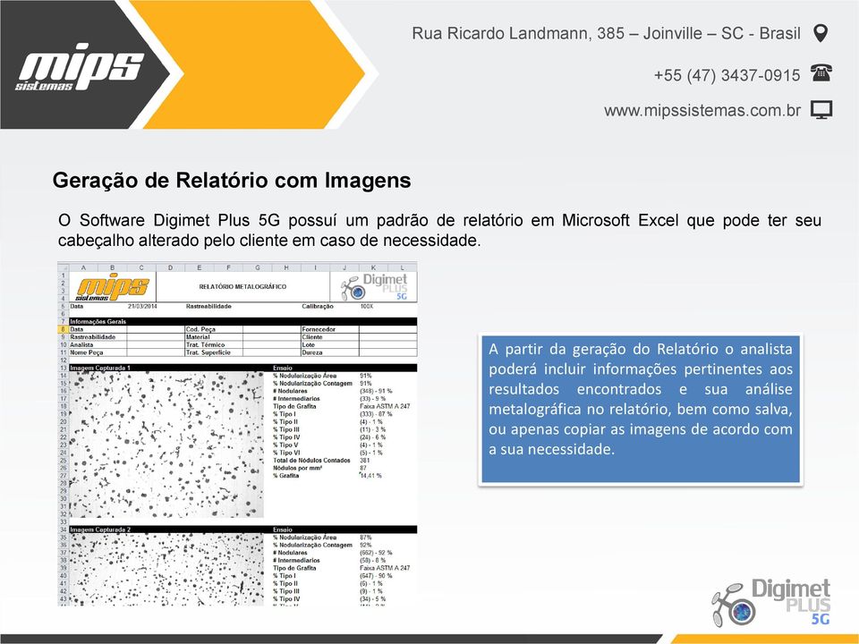 A partir da geração do Relatório o analista poderá incluir informações pertinentes aos resultados