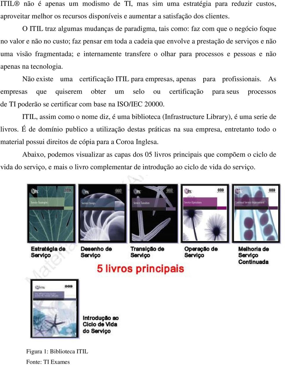 e internamente transfere o olhar para processos e pessoas e não apenas na tecnologia. Não existe uma certificação ITIL para empresas, apenas para profissionais.