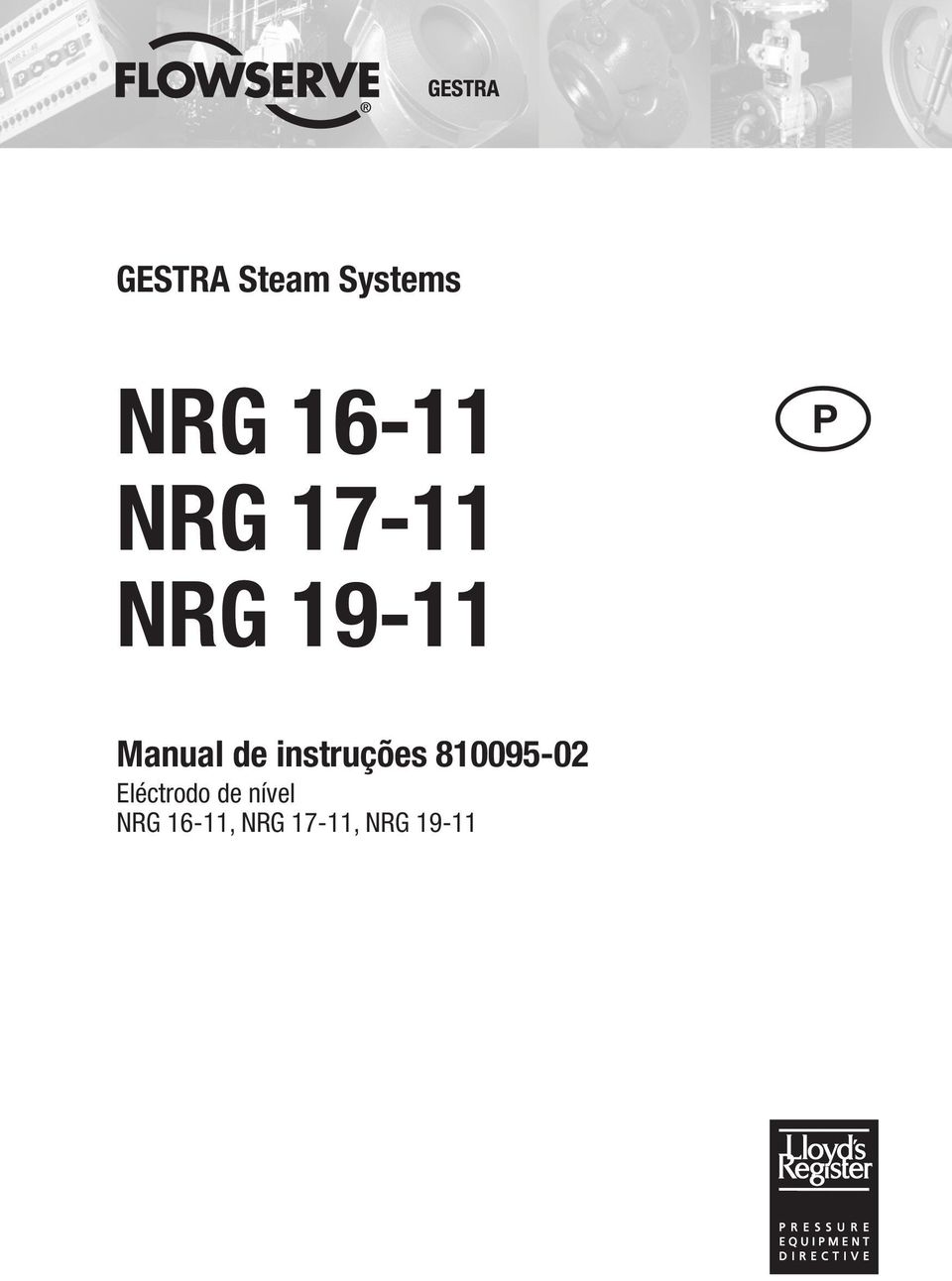 instruções 810095-02 Eléctrodo de