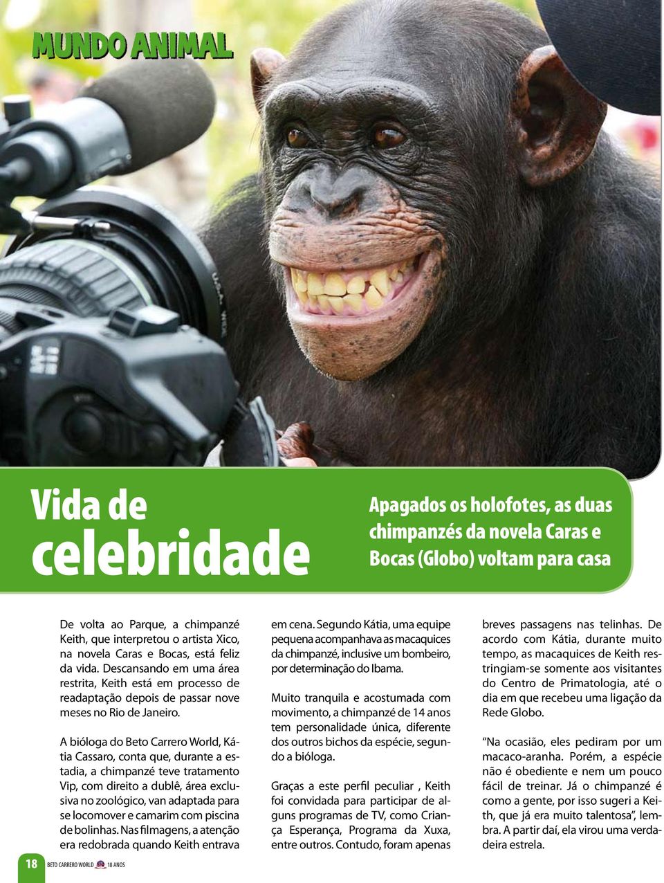 A bióloga do Beto Carrero World, Kátia Cassaro, conta que, durante a estadia, a chimpanzé teve tratamento Vip, com direito a dublê, área exclusiva no zoológico, van adaptada para se locomover e