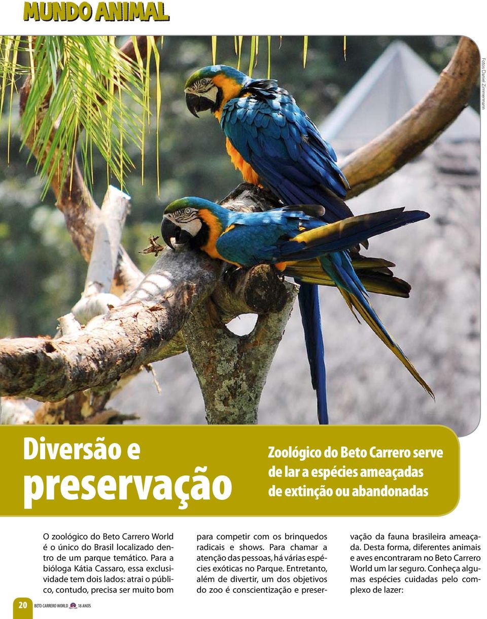 Para a bióloga Kátia Cassaro, essa exclusividade tem dois lados: atrai o público, contudo, precisa ser muito bom 20 BETO CARRERO WORLD 18 ANOS para competir com os brinquedos radicais e