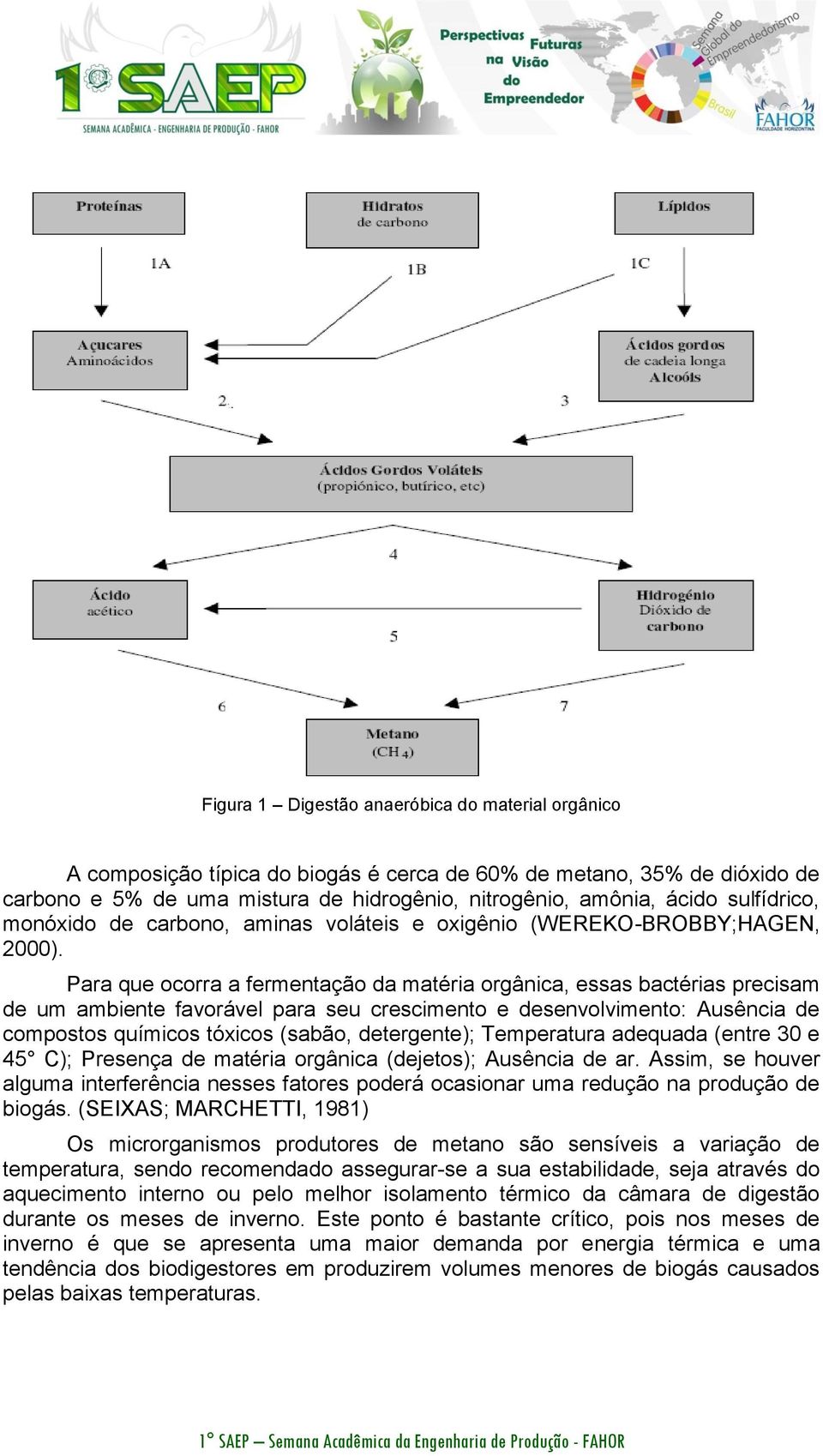 Para que ocorra a fermentação da matéria orgânica, essas bactérias precisam de um ambiente favorável para seu crescimento e desenvolvimento: Ausência de compostos químicos tóxicos (sabão,