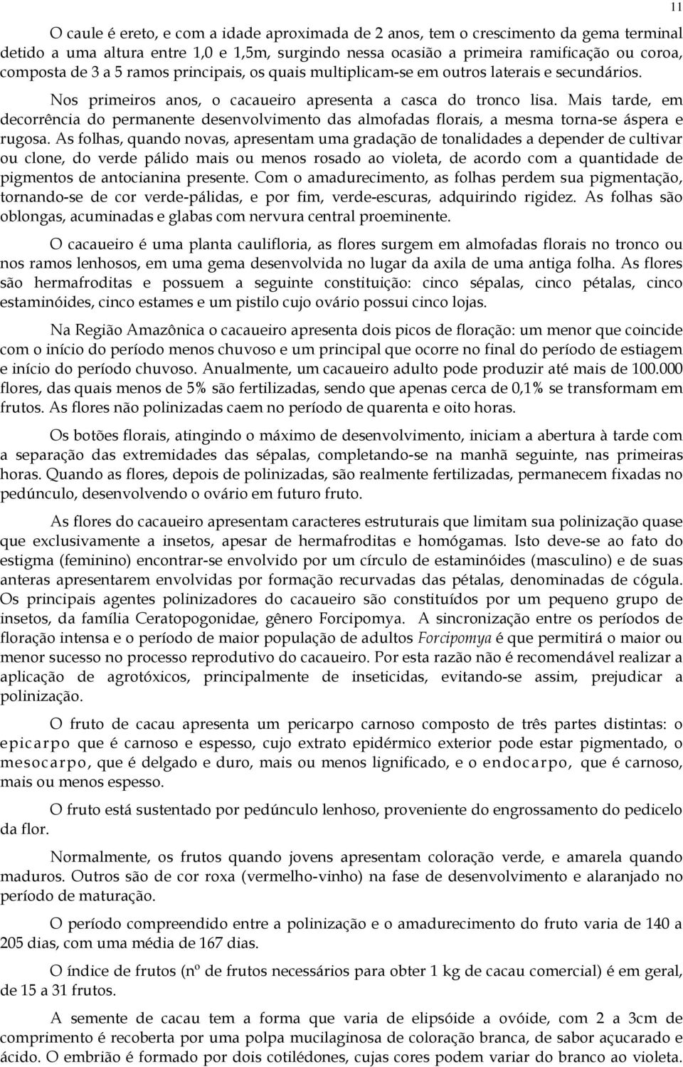 Mais tarde, em decorrência do permanente desenvolvimento das almofadas florais, a mesma torna-se áspera e rugosa.